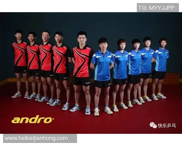 赛后复盘：北京乒乓球队 vs 上海乒乓球队的技术
