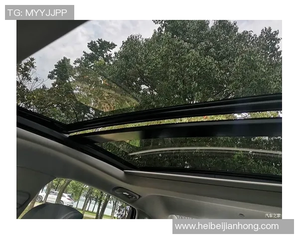 2026极限运动团队协作排名：武汉极限运动队创新高