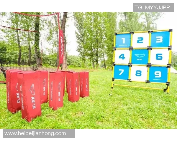 热议飞盘：深圳飞盘队的耐力变革_1